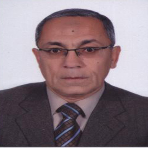Professor Baher Abdel Khalek Mahmoud Effat's profile